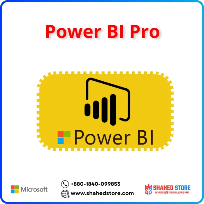 Power BI Professional